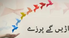 آمنہ مفتی کا کالم اڑیں گے پرزے: