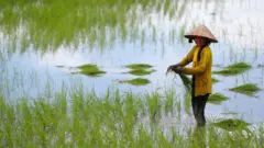 湄公河養育了越南的農民。