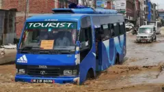 बस