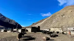 डोल्पाको आकाश