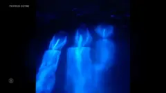 „Magična“ bioluminiscencija obasjava more plavom svetlošću