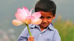 कमल