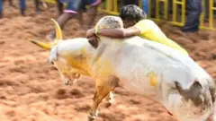 ஜல்லிக்கட்டு