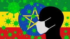 ኮቪድ-19