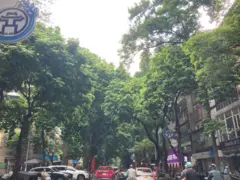 Đường phố Hà Nội