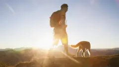 Caminata con perro