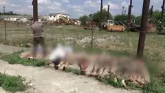 Удар по колонии в Еленовке.