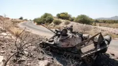 Imirwano imaze igihe ikaza umurego yerekeza mu turere duhana imbibi na Tigray