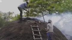 கரி மூட்டம் போடும் தொழிலாளர்கள்