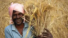டெல்டா அறுவடை யாருக்கு