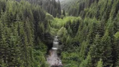 Лостунець