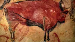Una pintura rupestre de un toro en la cueva de Altamira, en España.