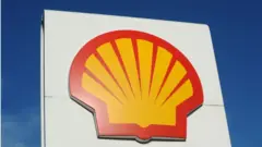 Shell