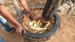 કચરિયાની તસવીર