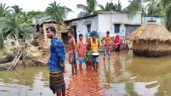 सुंदरबन