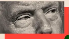 Doonaald Tiraamp