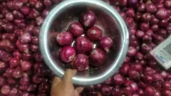 प्याज