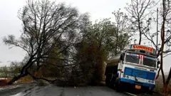 વાવાઝોડું