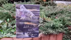 Осока