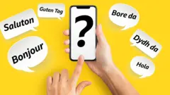 Graphique de l'application de langue