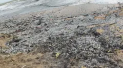 இலங்கை