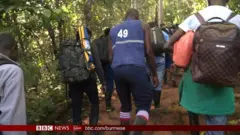 တောရိုင်းကြီးကို ဖြတ်ပြီး အမေရိကန်ကို လာကြသူများ