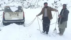 برف