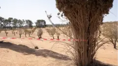 سبق العثور على مقابر جماعية أخرى في ليبيا
