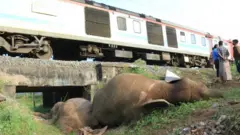 யானை