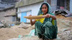 কৃষি