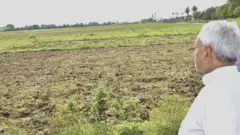 नीतीश कुमार