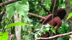 आदिवासी मानिस