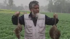 बांग्लादेश