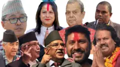 शीर्ष नेताहरू