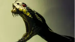 साप