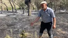 Şabran, Qəbələ, Quba, Siyəzəndə yanğınlar