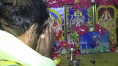 కాటన్