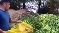 Tam kapanma ile pazar yerlerinin de kapatılması, çiftçilerin elinde kalan ürünleri çöpe atmasına yol açtı. Yeni genelge ile semt pazarlarının sadece iki gün açılmasının çiftçinin zararını karşılayamayacağını söyleyen sektör temsilcilerine göre ürünün bol olduğu bu dönemde üretici para kazanamadı, tüketici de ucuza sebze ve meyve yeme şansını kaçırdı.