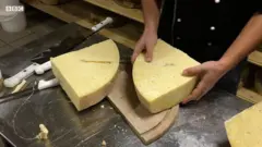 Сир