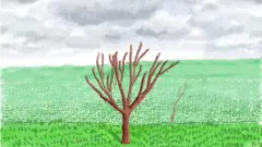 David Hockney animation