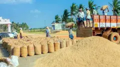நெல் மூட்டைகள்