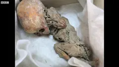 मुस्ताङमा पाइएको ममी