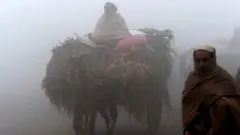 ਲਾਹੌਰ