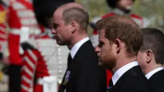 Cambridge Dükü William ve Sussex Dükü Harry