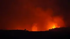 Sicilya'da çıkan bir orman yangını