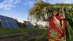 ખેતરમાં મહિલા