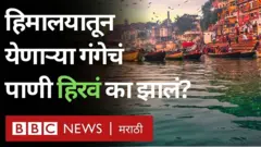 उत्तर प्रदेशातल्या वाराणशीत काही ठिकाणाी गंगेचं पाणी हिरवं झालंय.