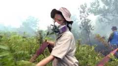 Sumarni Laman