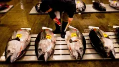 台灣解禁日本福島食品進口 與衝刺CPTPP有何關係