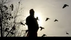 ਕੋਰੋਨਾਵਾਇਰਸ